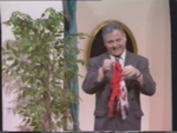 Vlcsnap 2020 05 13 16h04m13s553