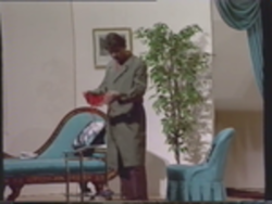 Vlcsnap 2020 05 13 16h06m39s146